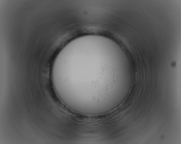 X0000093380739200710111347
