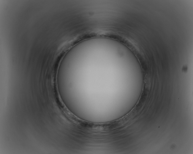 X0000093380740200710111347