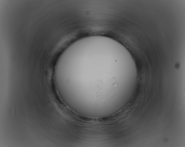 X0000093380742200710111347