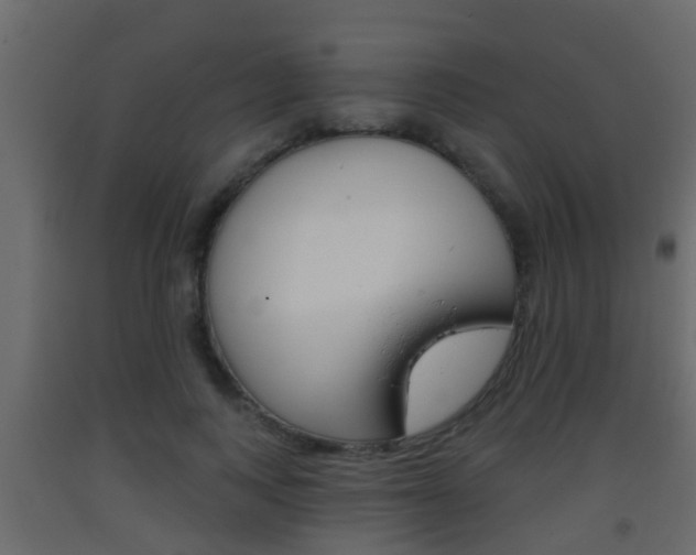 X0000093380743200710111347
