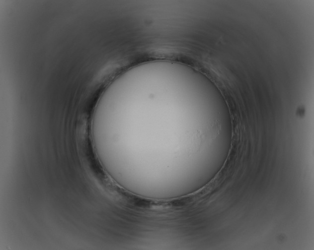 X0000093380744200710111347