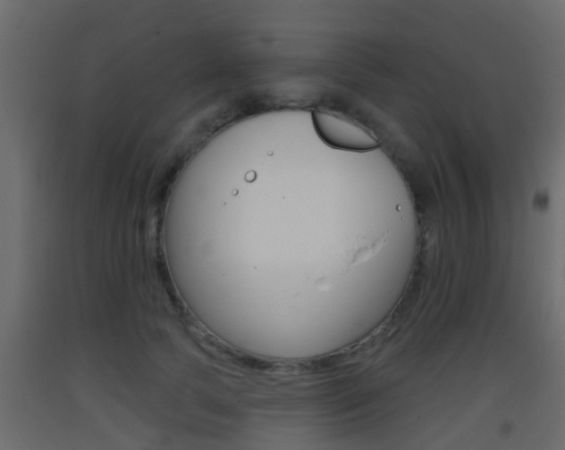 X0000093380745200710111347