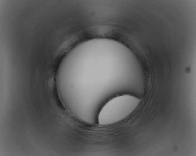 X0000093380746200710111347