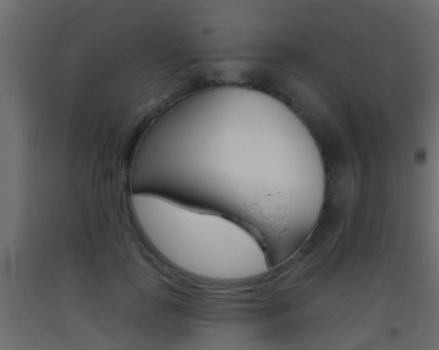 X0000093380747200710111347