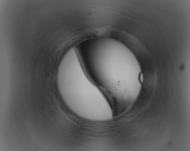 X0000093380748200710111347
