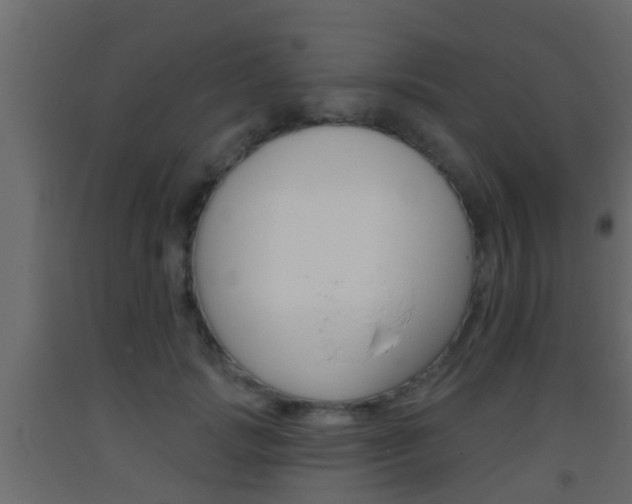 X0000093380749200710111347