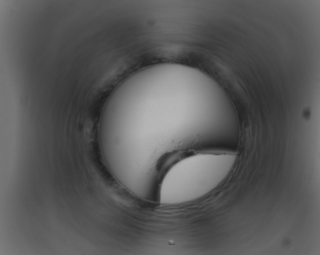 X0000093380750200710111347