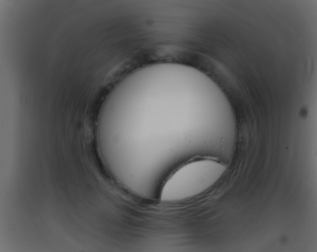X0000093380751200710111347