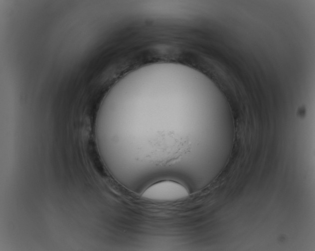 X0000093380752200710111347