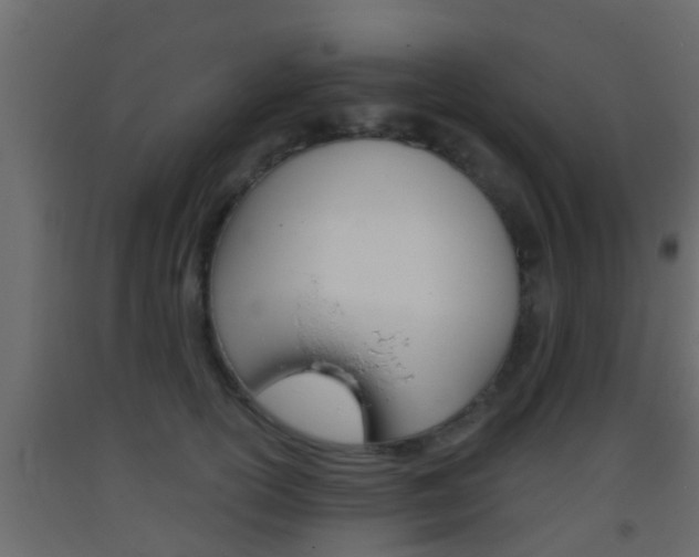 X0000093380754200710111347