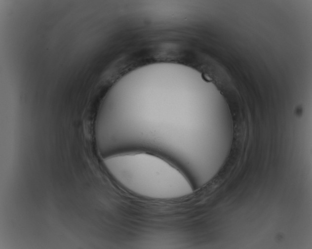 X0000093380755200710111347