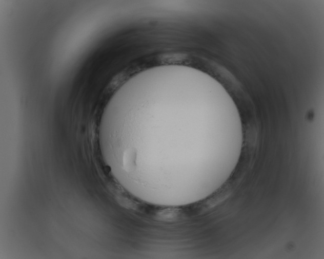 X0000093380761200710111347