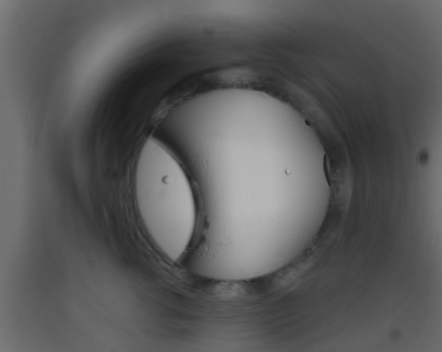 X0000093380762200710111347