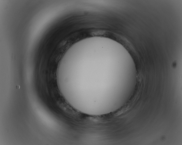X0000093380763200710111347