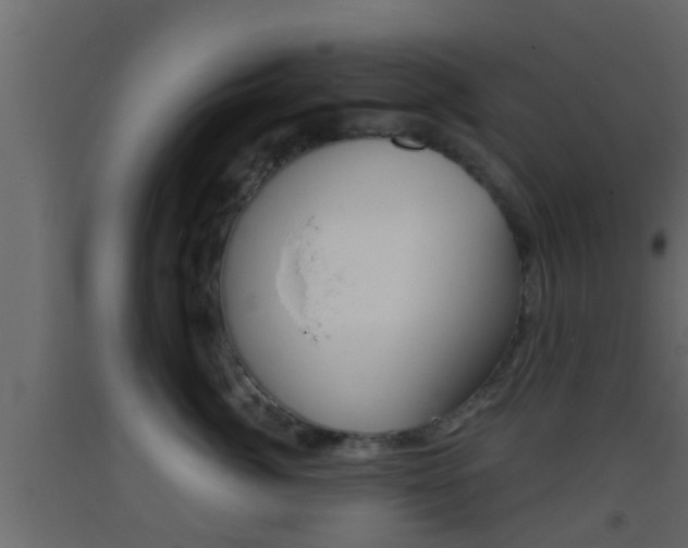 X0000093380764200710111347