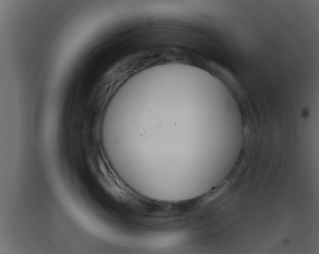 X0000093380765200710111347