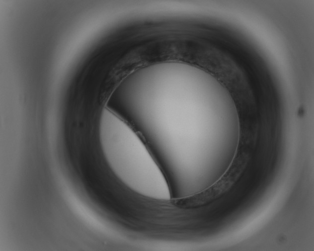 X0000093380766200710111347