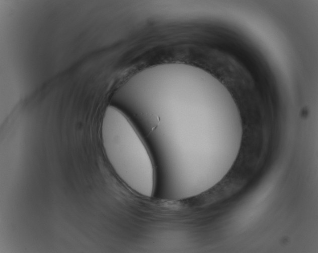 X0000093380767200710111347