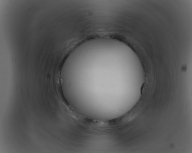 X0000093380768200710111347