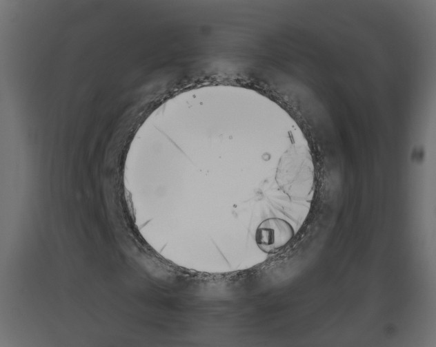 X0000093380769200710111347