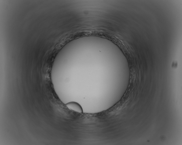 X0000093380770200710111347
