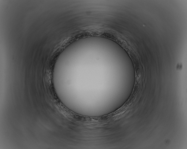 X0000093380772200710111347