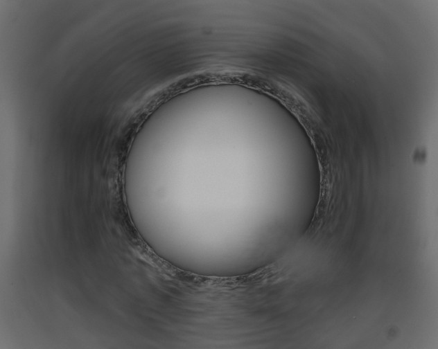 X0000093380773200710111347