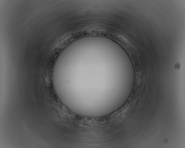 X0000093380774200710111347