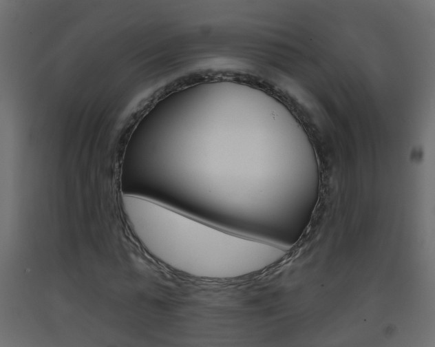 X0000093380775200710111347