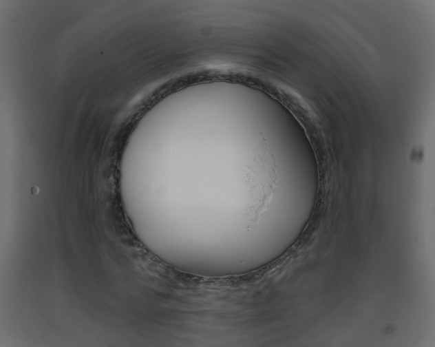 X0000093380776200710111347