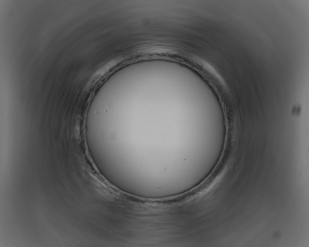 X0000093380777200710111346