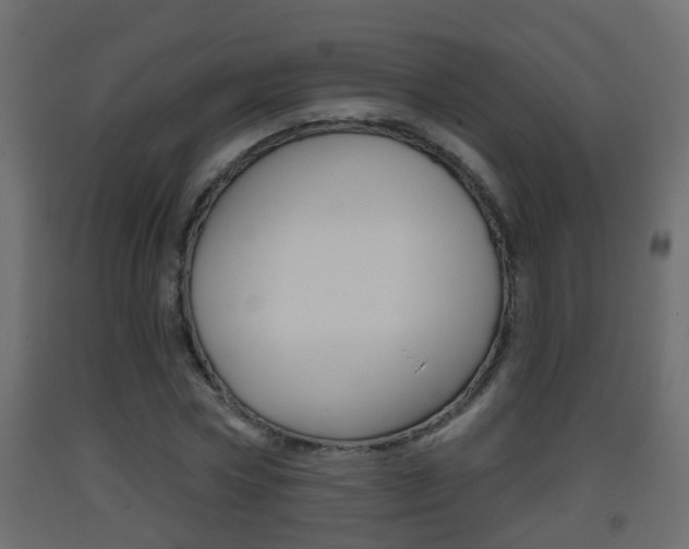 X0000093380778200710111346
