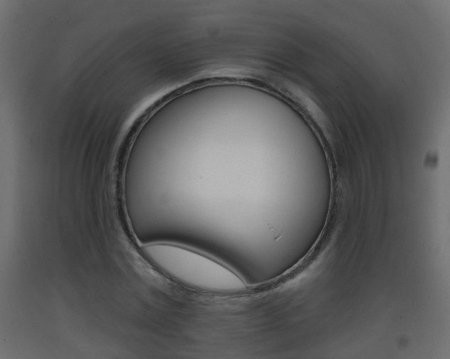 X0000093380779200710111346