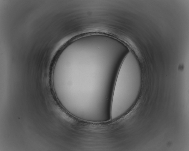 X0000093380780200710111346