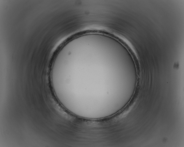 X0000093380783200710111346