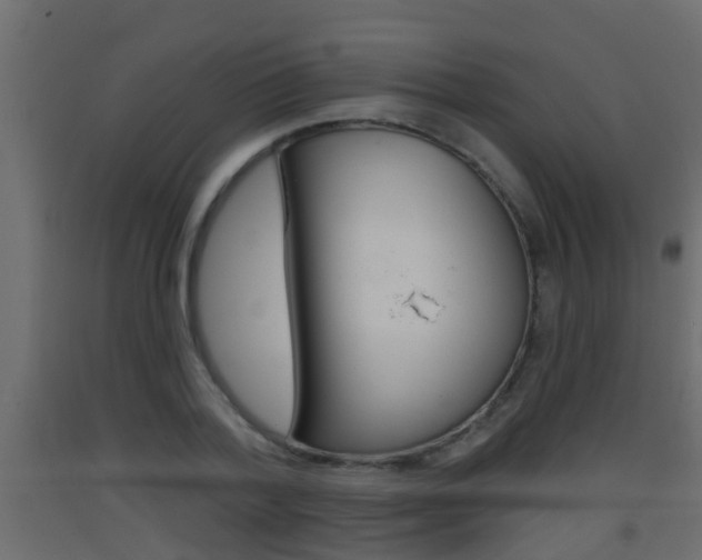 X0000093380788200710111346
