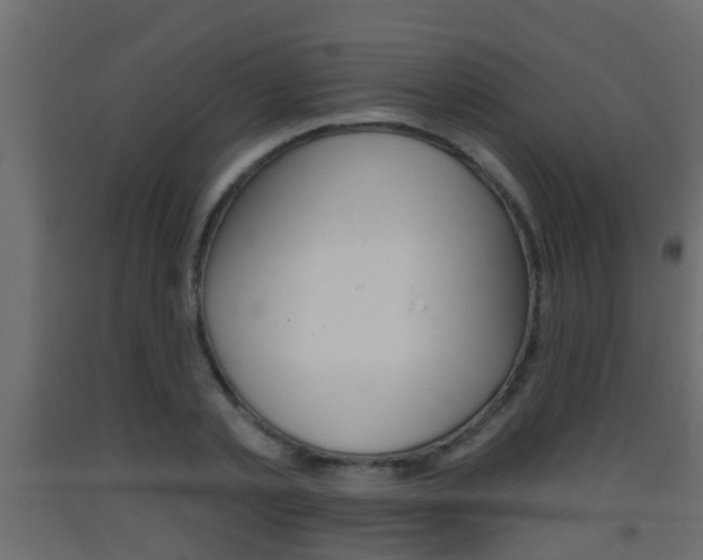 X0000093380789200710111346