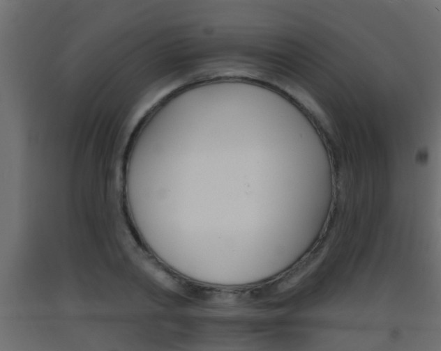 X0000093380790200710111346