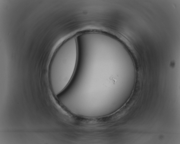 X0000093380791200710111346