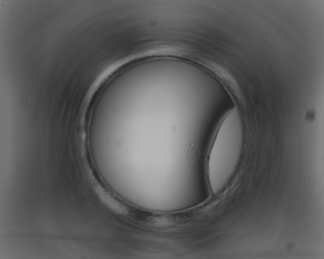 X0000093380792200710111346