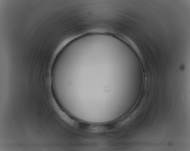 X0000093380795200710111346