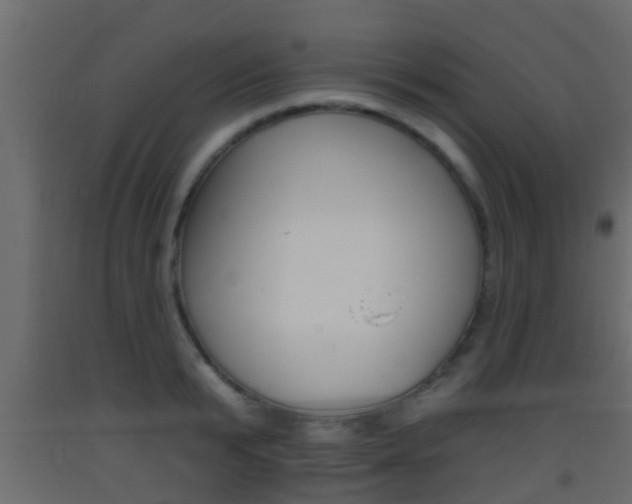 X0000093380799200710111346