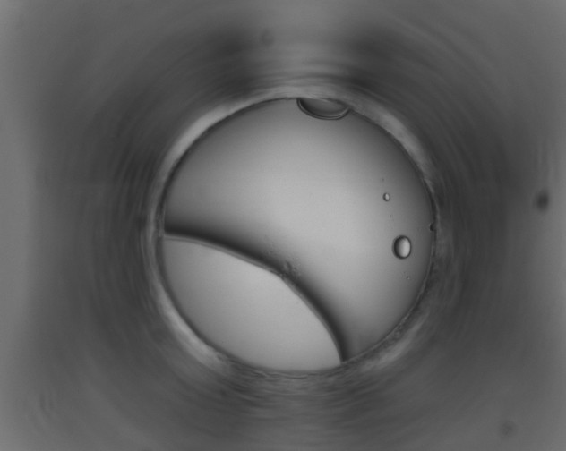 X0000093380803200710111346