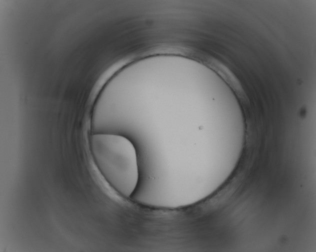 X0000093380804200710111346