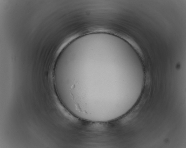 X0000093380806200710111346