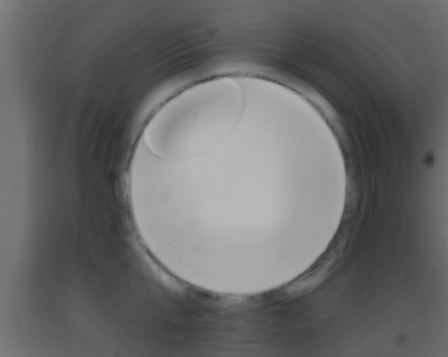X0000093380807200710111346