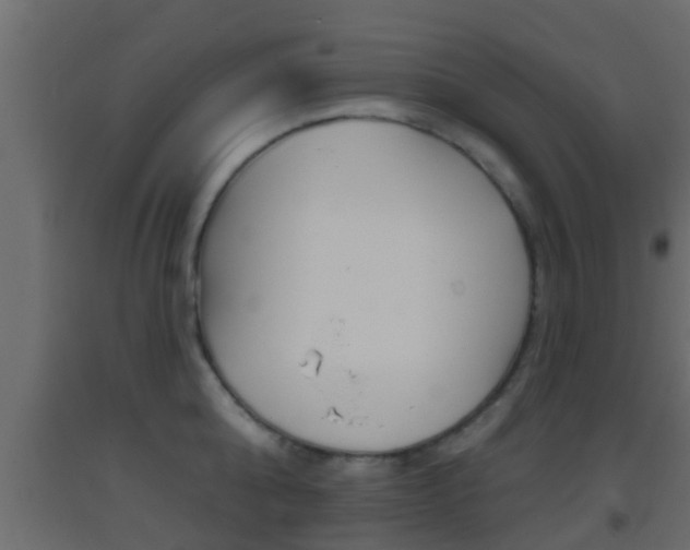 X0000093380808200710111346