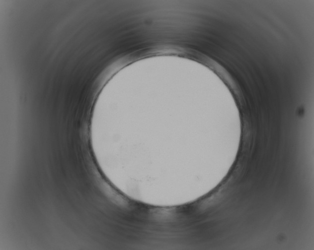 X0000093380810200710111346
