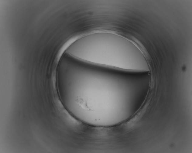 X0000093380812200710111346