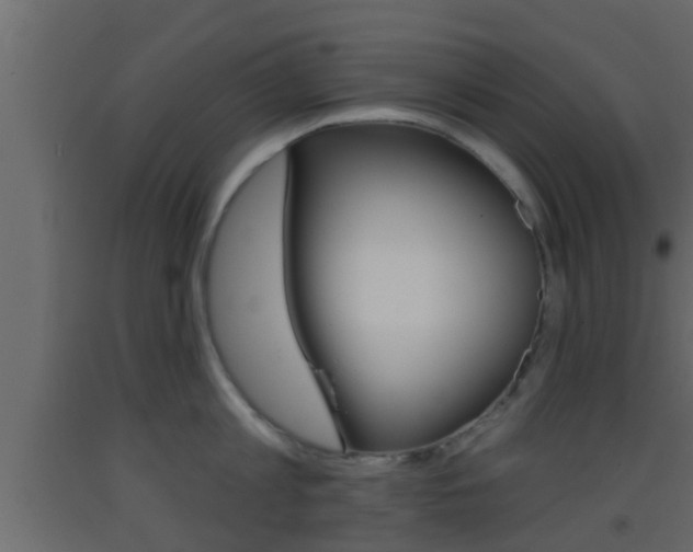 X0000093380813200710111346